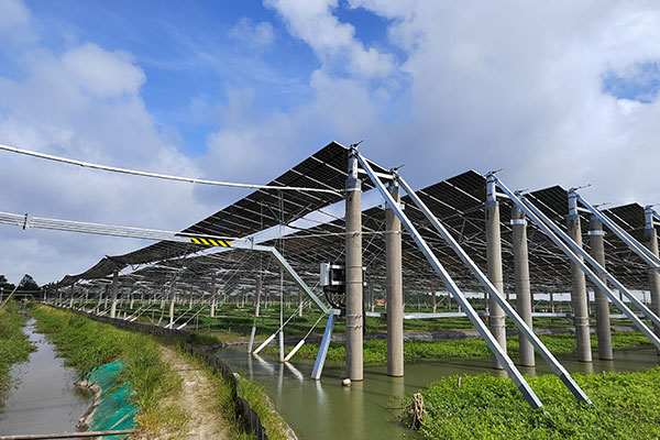 崇明島漁業と太陽光発電の協業プロジェクト